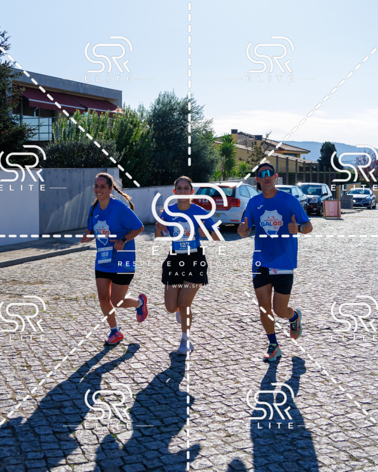 Preview com marca de água da fotografia galos-725