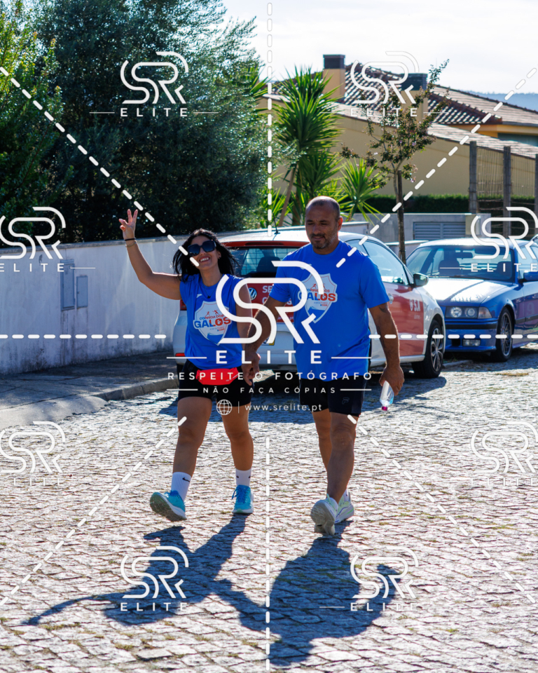 Preview com marca de água da fotografia galos-730