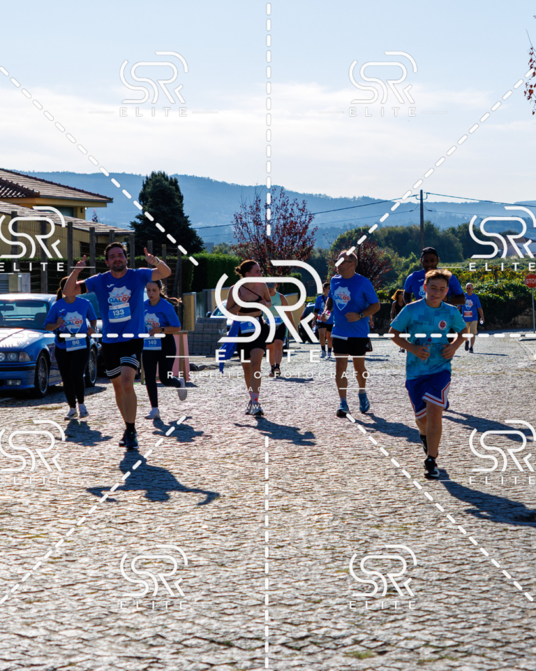 Preview com marca de água da fotografia galos-731