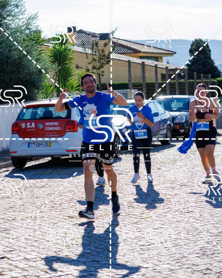 Preview com marca de água da fotografia galos-732