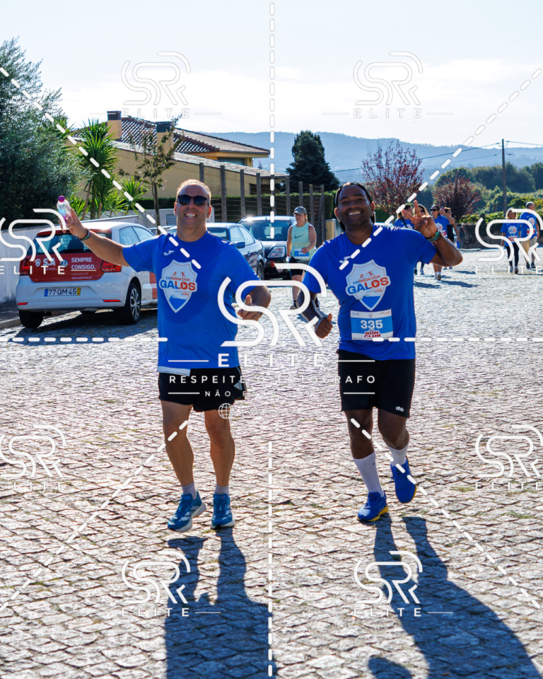 Preview com marca de água da fotografia galos-735