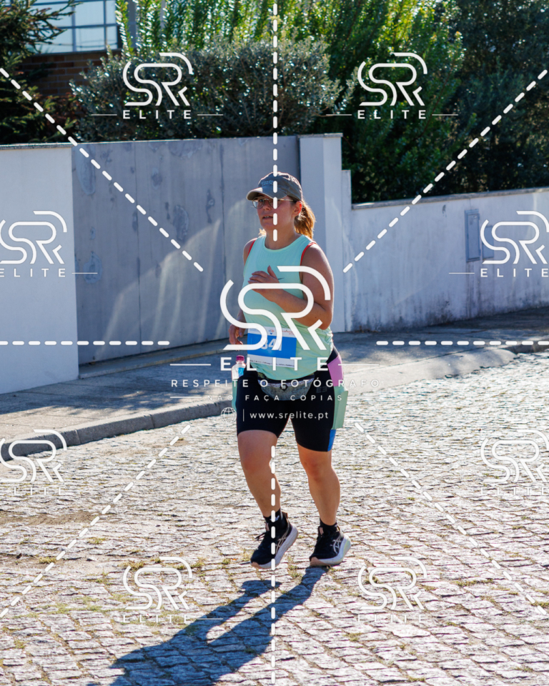 Preview com marca de água da fotografia galos-737