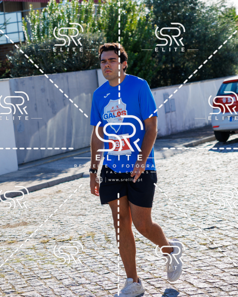 Preview com marca de água da fotografia galos-739