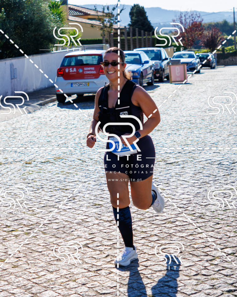 Preview com marca de água da fotografia galos-741