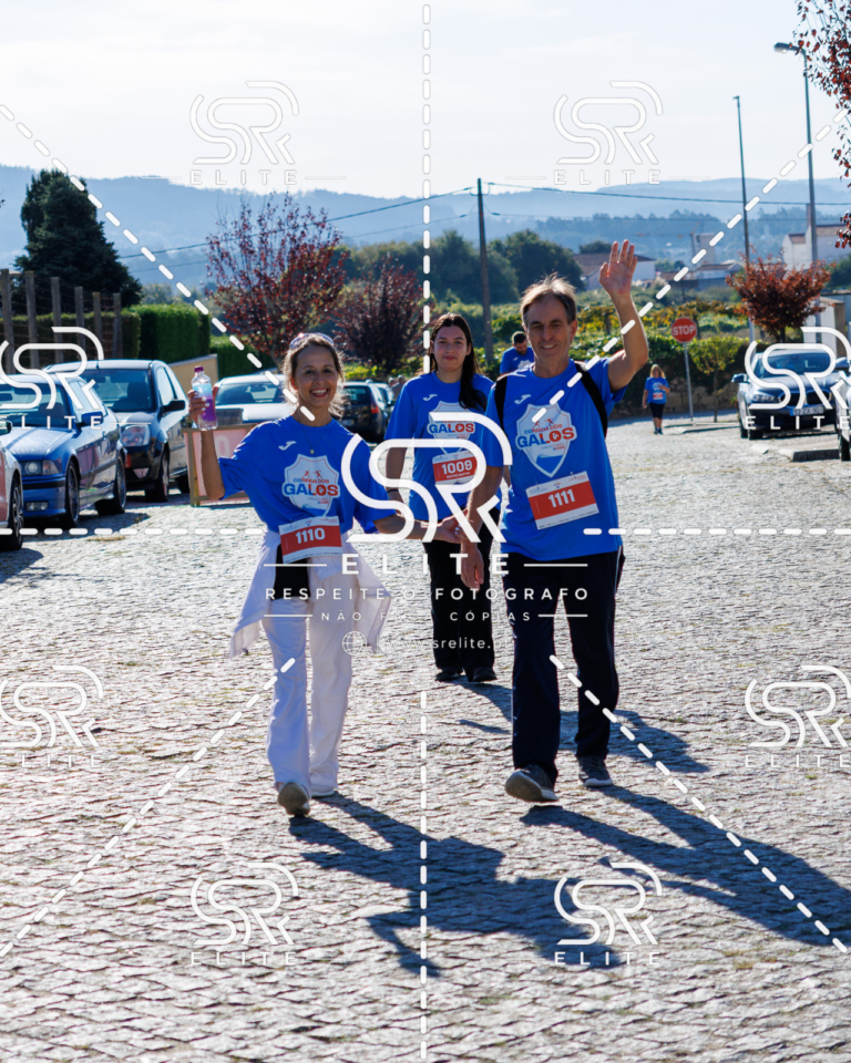 Preview com marca de água da fotografia galos-742