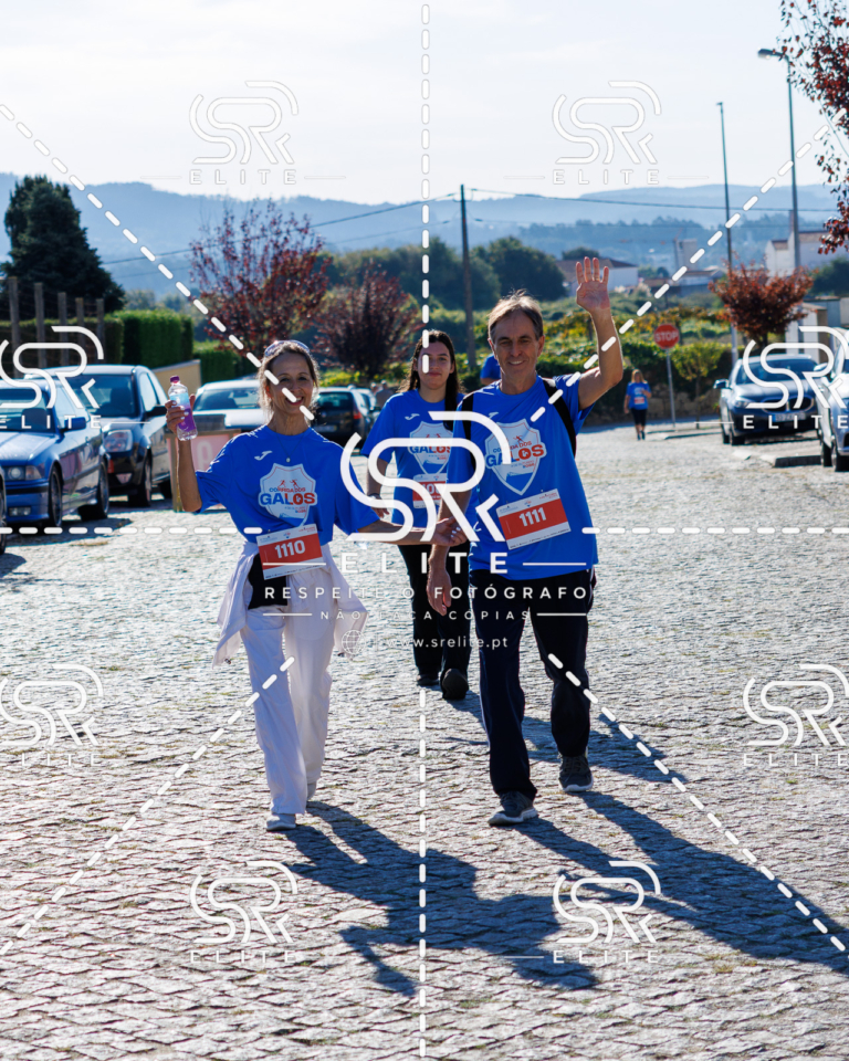 Preview com marca de água da fotografia galos-743