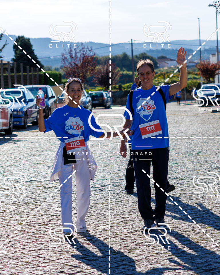 Preview com marca de água da fotografia galos-744