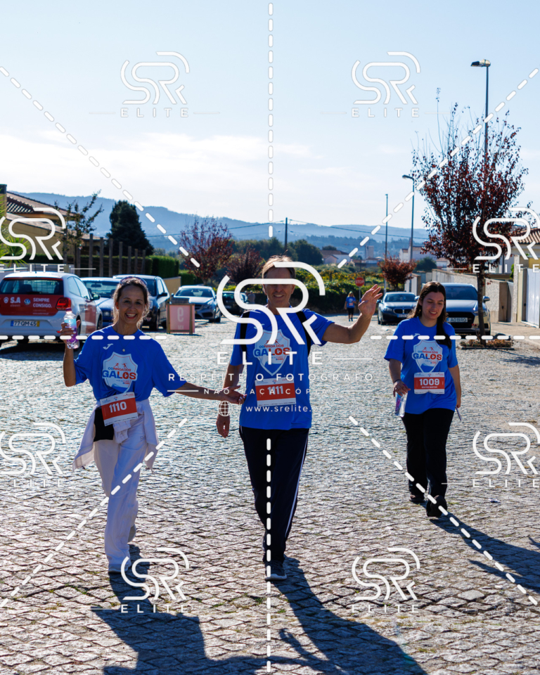 Preview com marca de água da fotografia galos-745