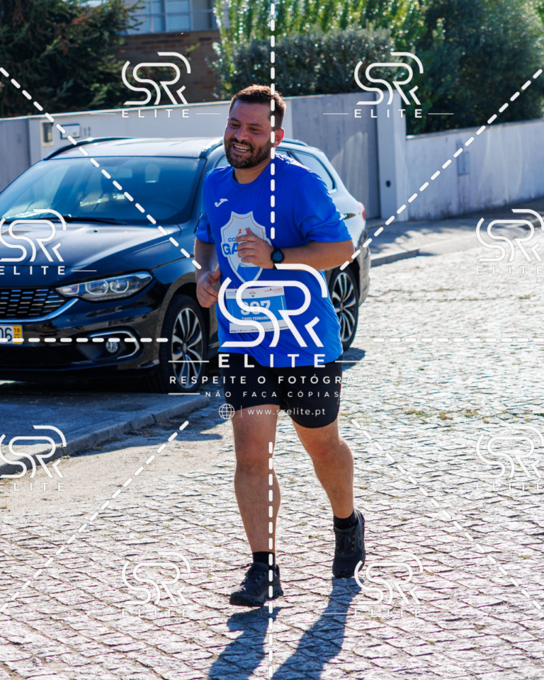 Preview com marca de água da fotografia galos-746