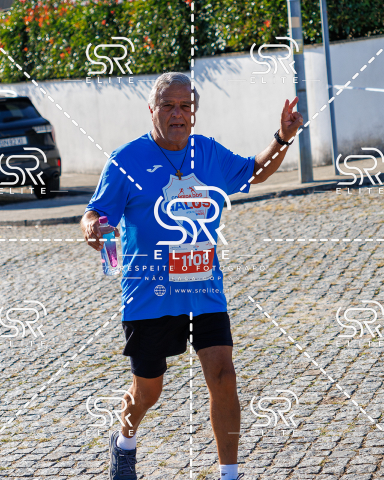 Preview com marca de água da fotografia galos-747