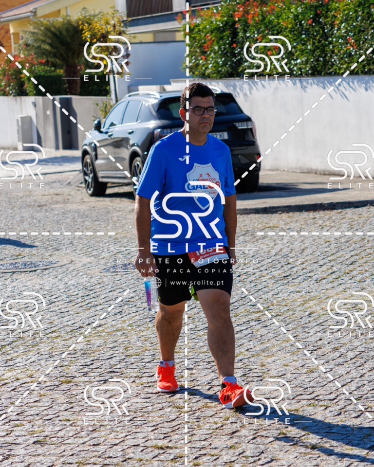 Preview com marca de água da fotografia galos-749