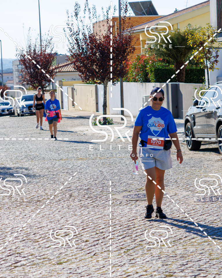 Preview com marca de água da fotografia galos-750