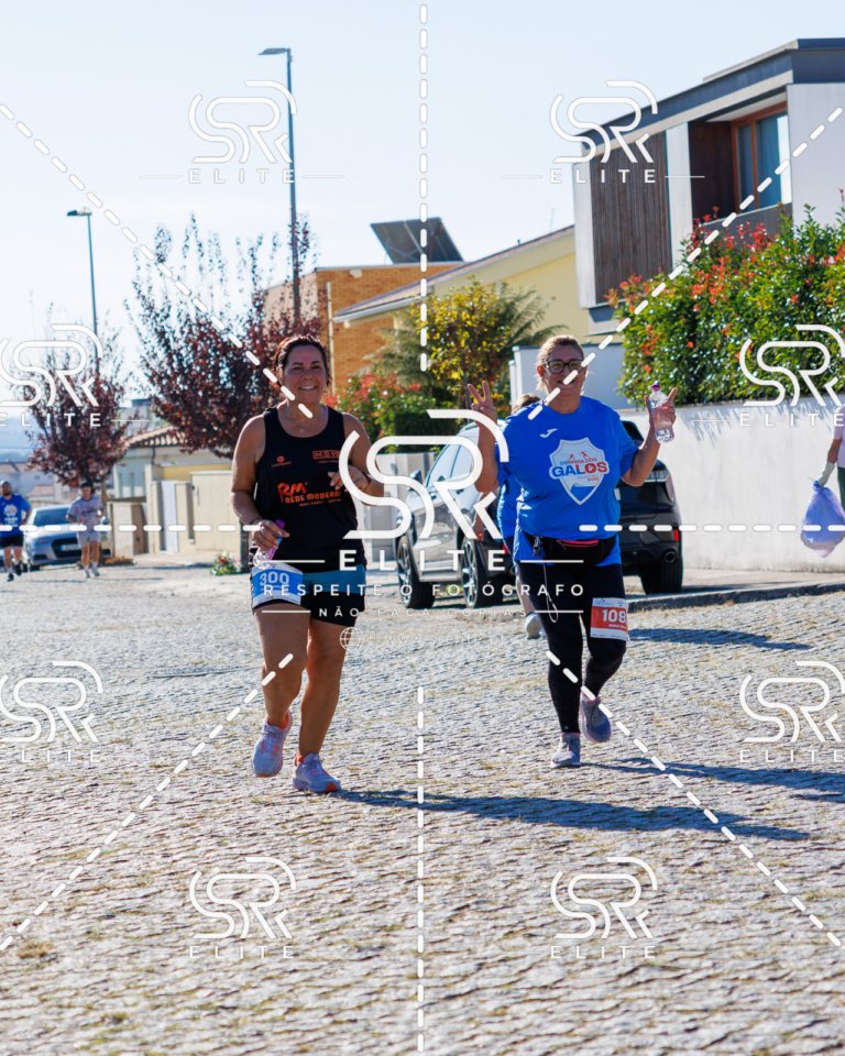 Preview com marca de água da fotografia galos-757