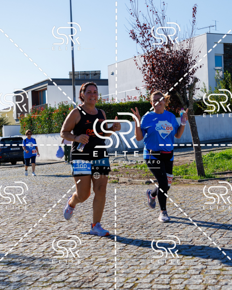 Preview com marca de água da fotografia galos-759
