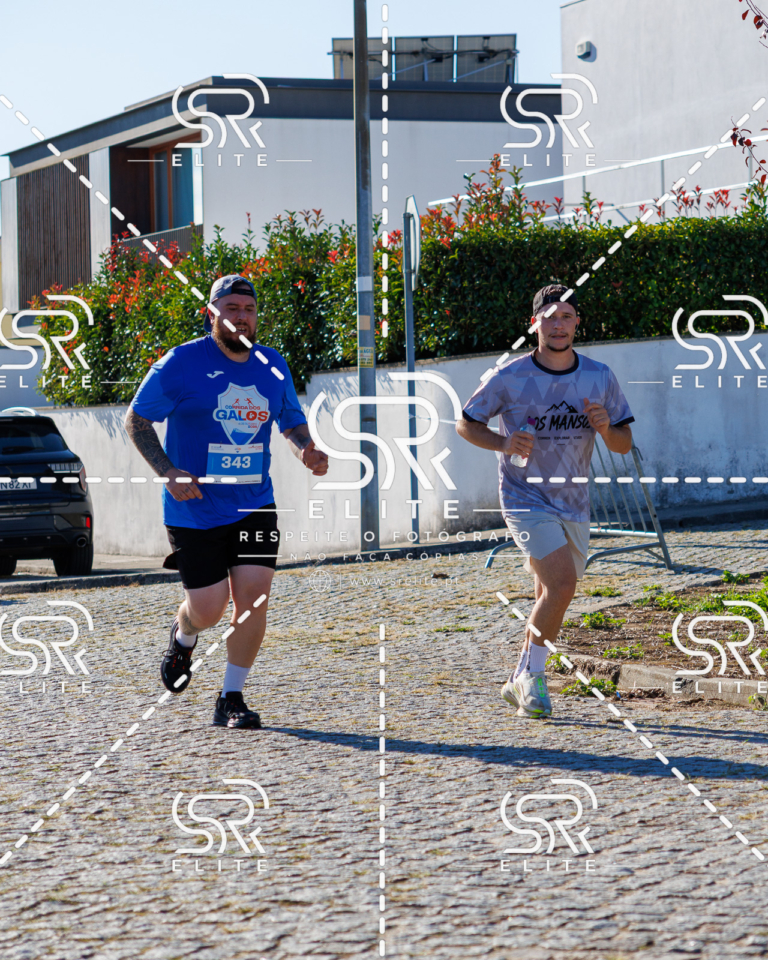 Preview com marca de água da fotografia galos-760