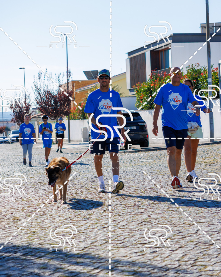 Preview com marca de água da fotografia galos-763