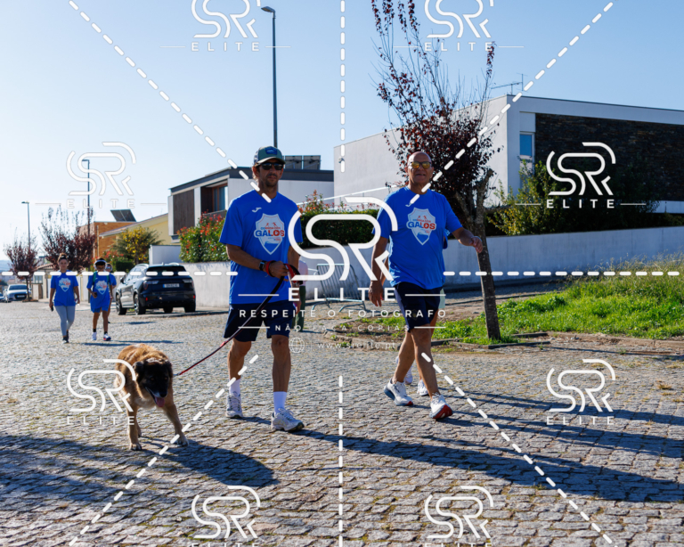Preview com marca de água da fotografia galos-765