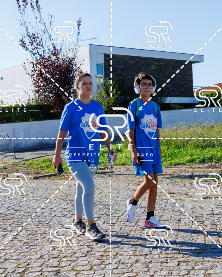 Preview com marca de água da fotografia galos-767