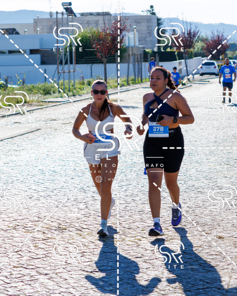 Preview com marca de água da fotografia galos-768