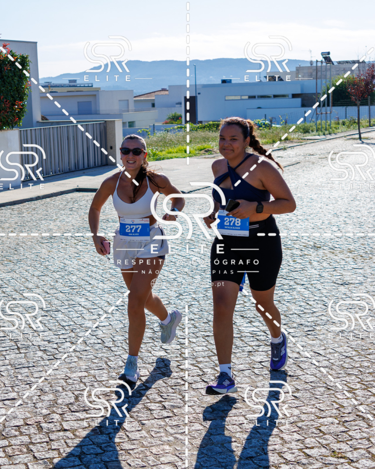Preview com marca de água da fotografia galos-770