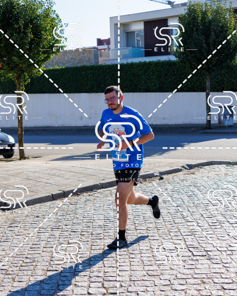 Preview com marca de água da fotografia galos-772