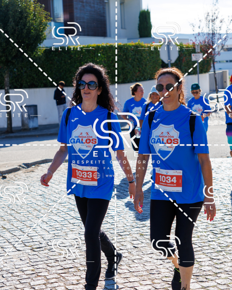 Preview com marca de água da fotografia galos-773