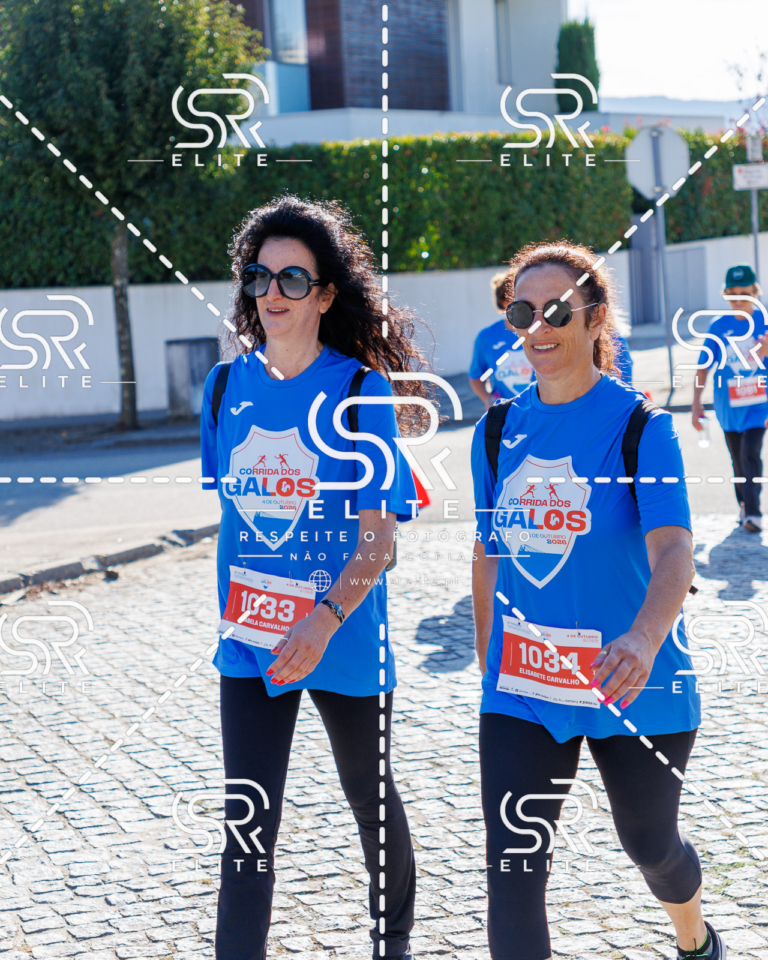 Preview com marca de água da fotografia galos-774