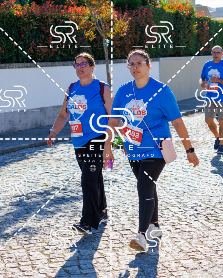Preview com marca de água da fotografia galos-782