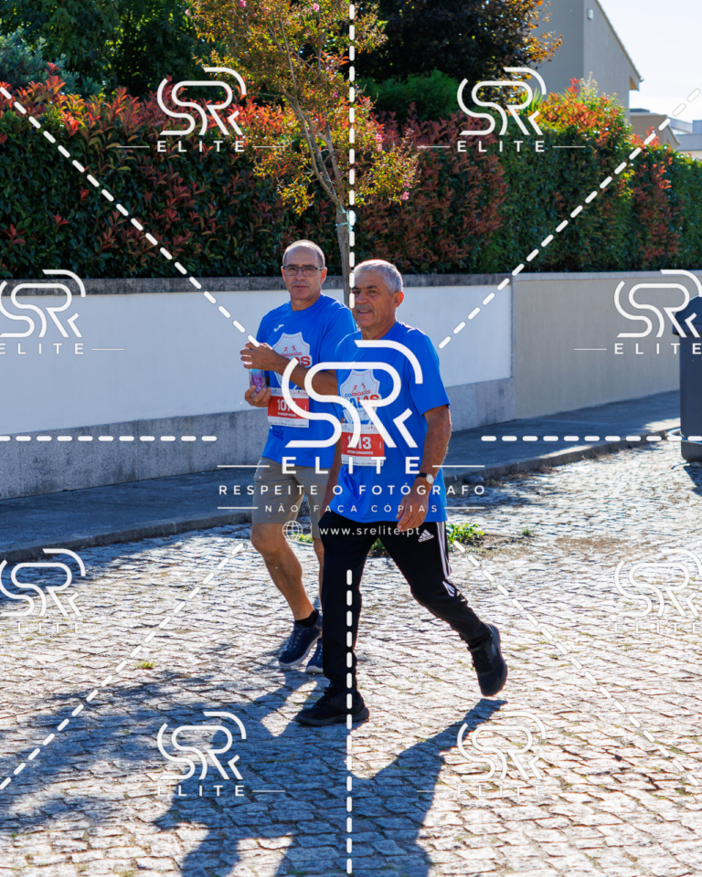Preview com marca de água da fotografia galos-783