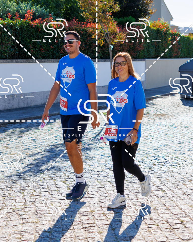 Preview com marca de água da fotografia galos-786