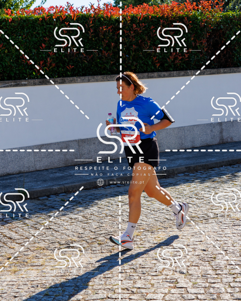 Preview com marca de água da fotografia galos-788