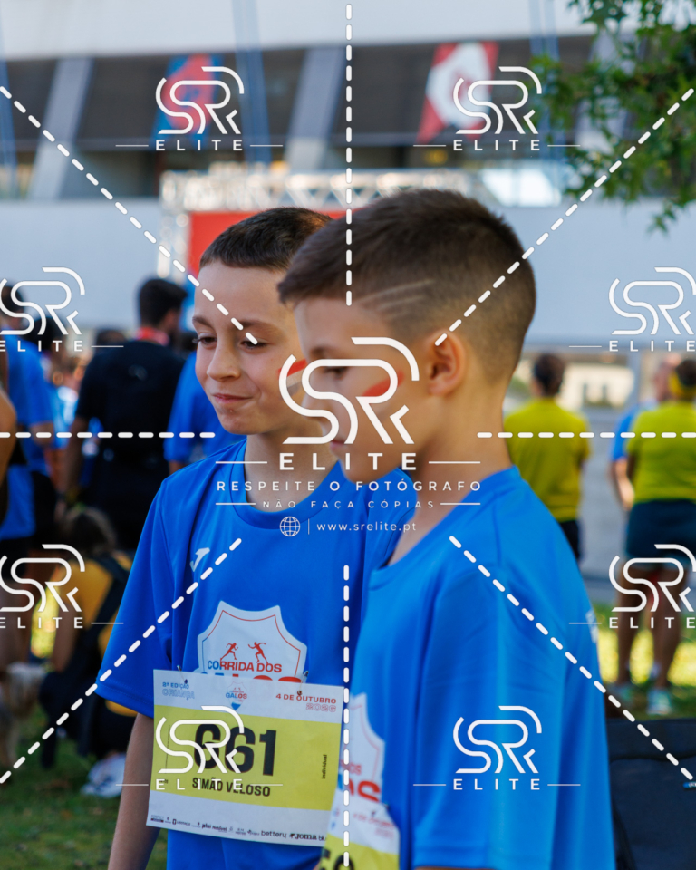 Preview com marca de água da fotografia galos-812