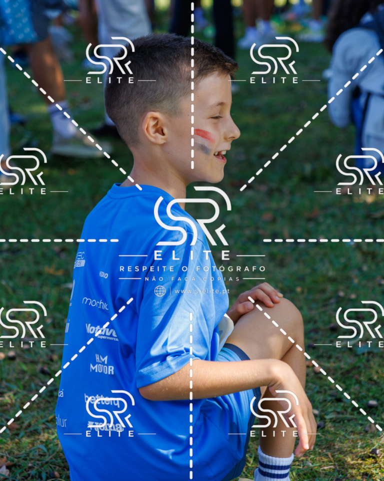 Preview com marca de água da fotografia galos-816