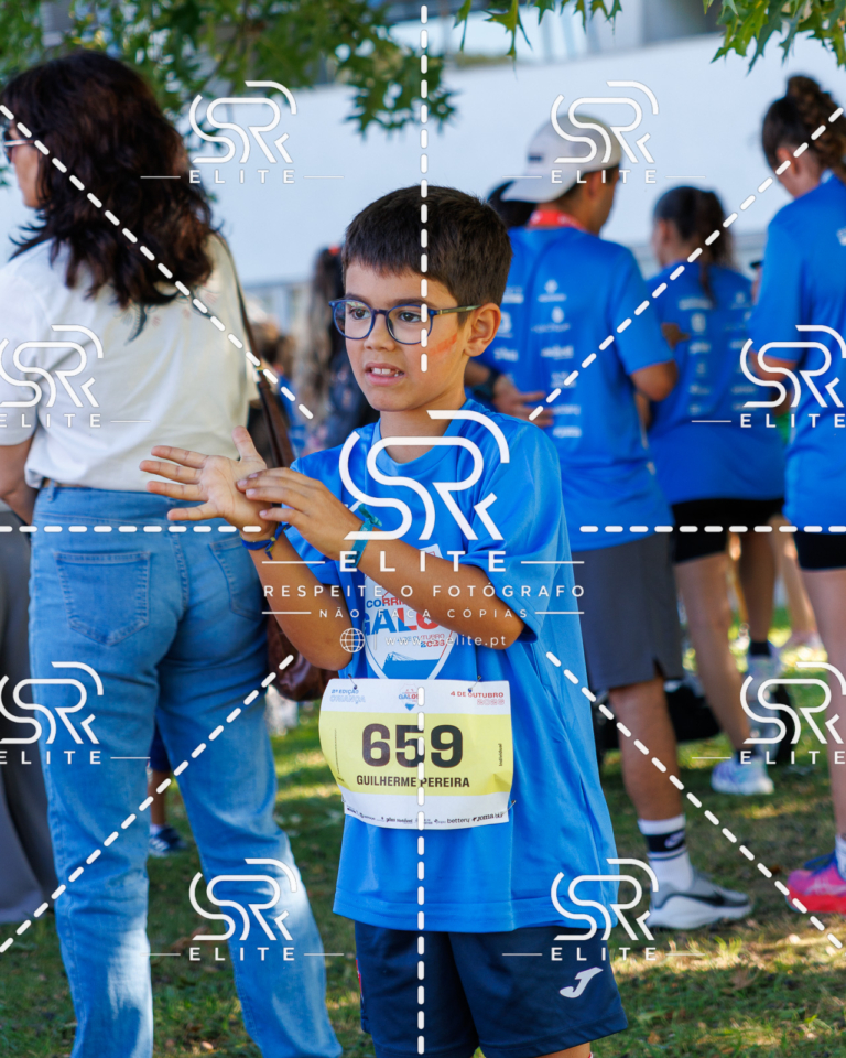 Preview com marca de água da fotografia galos-818