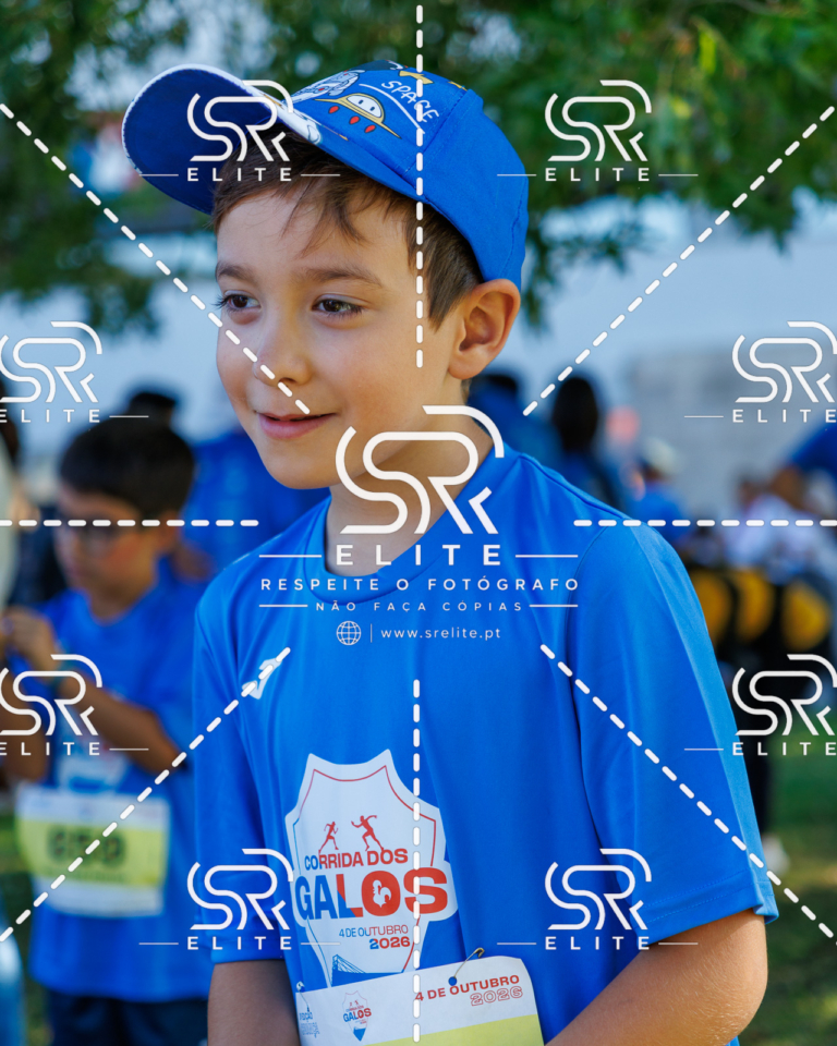 Preview com marca de água da fotografia galos-819