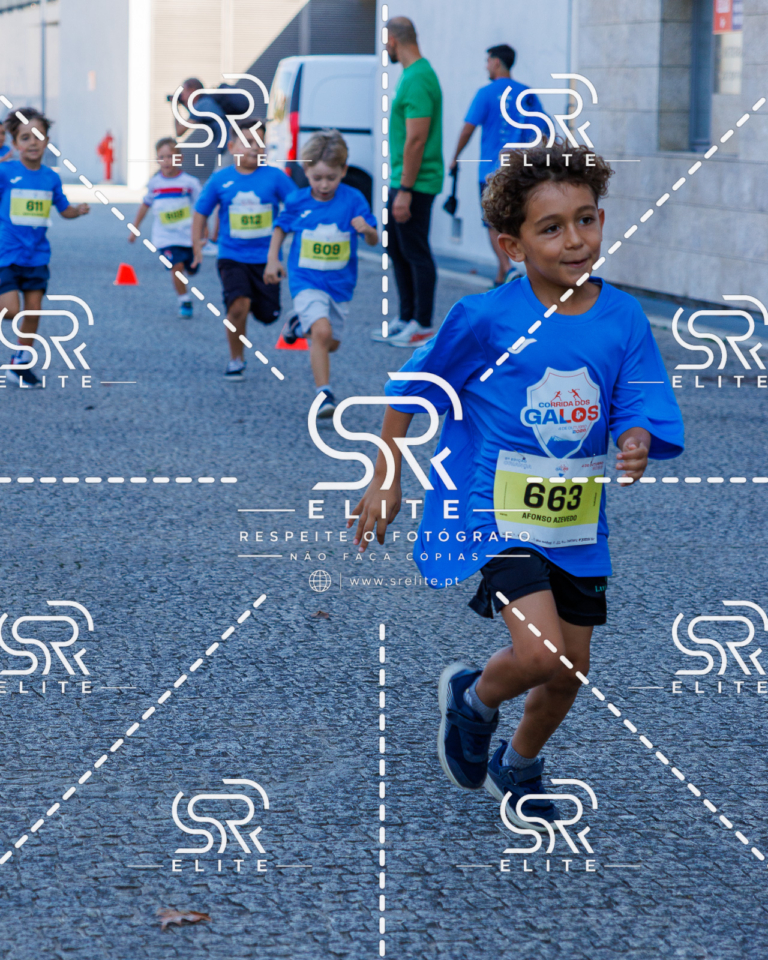 Preview com marca de água da fotografia galos-829