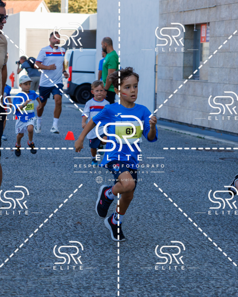 Preview com marca de água da fotografia galos-830