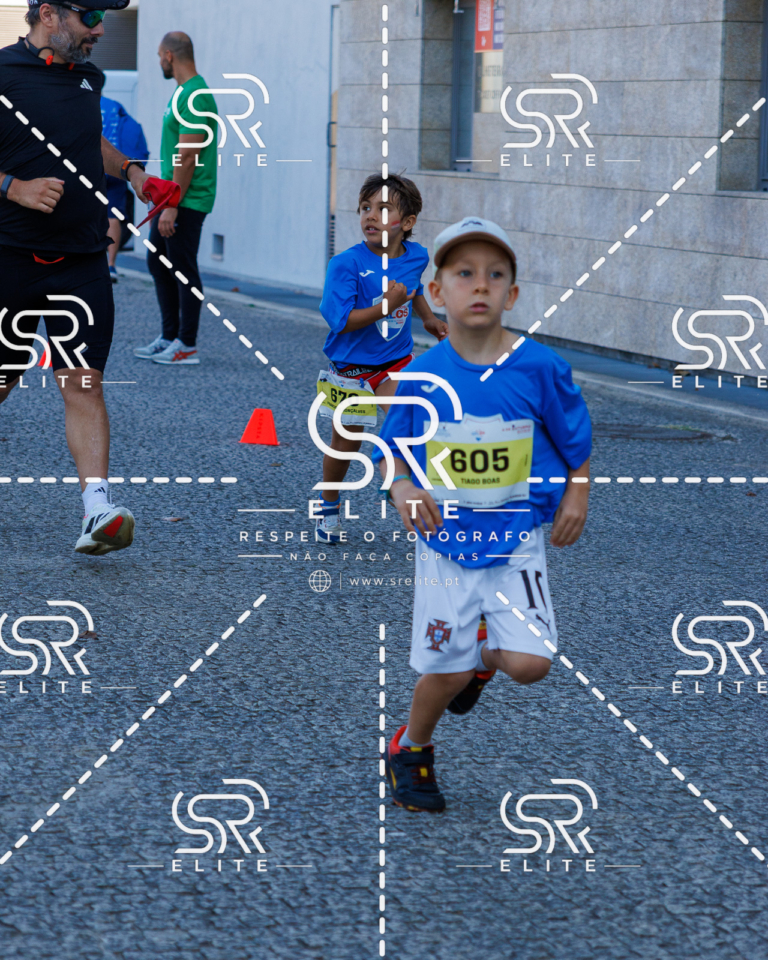 Preview com marca de água da fotografia galos-831