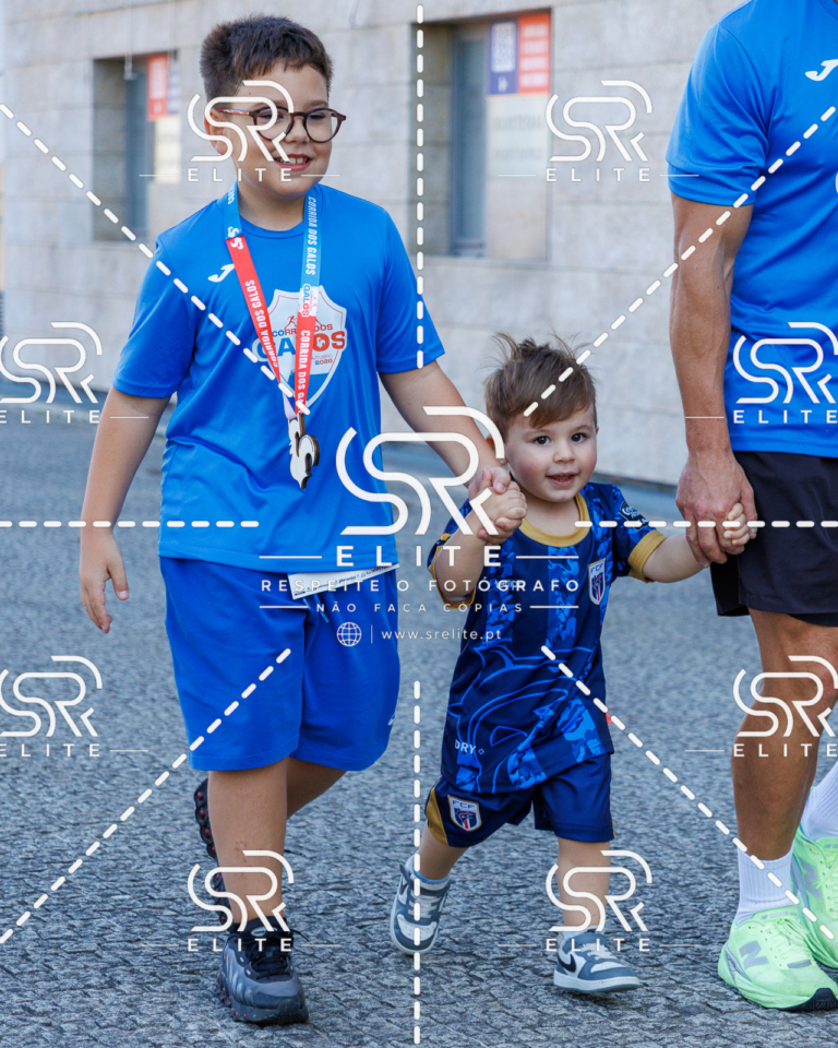 Preview com marca de água da fotografia galos-838