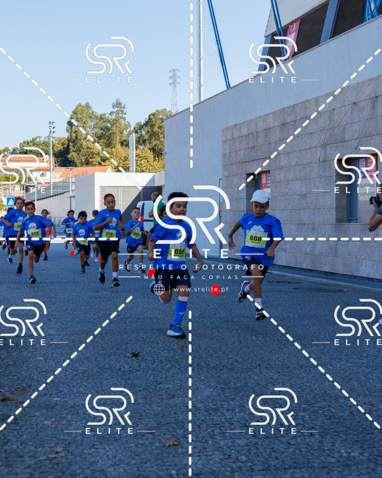 Preview com marca de água da fotografia galos-839