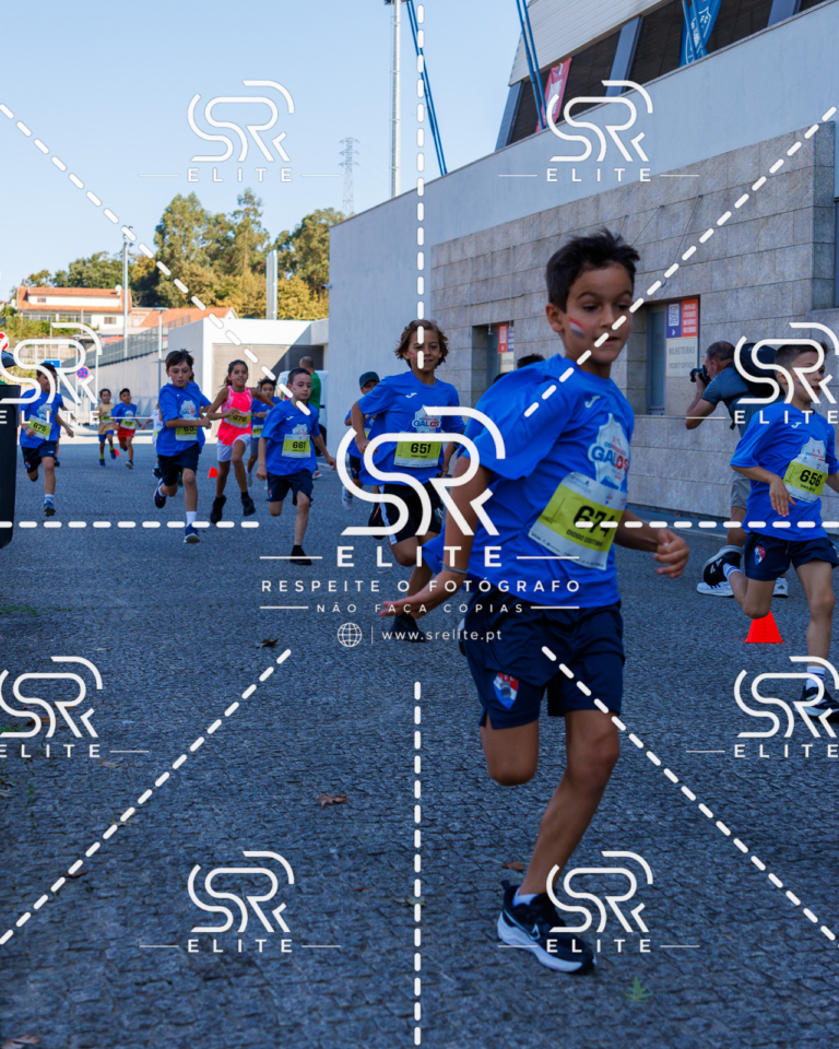 Preview com marca de água da fotografia galos-840