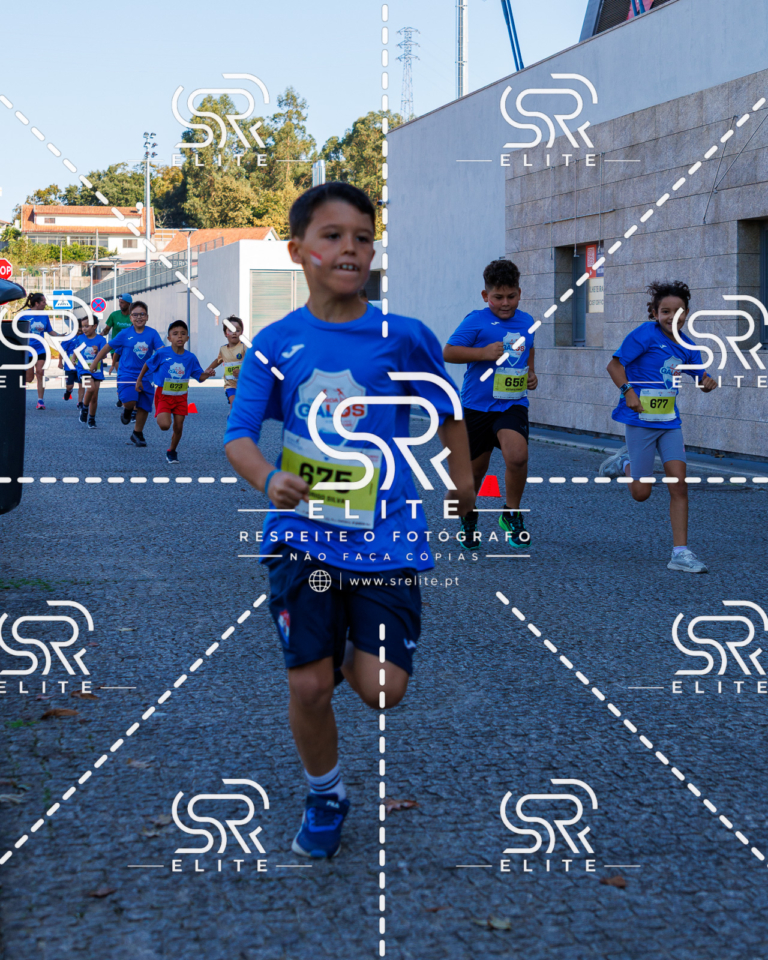 Preview com marca de água da fotografia galos-841