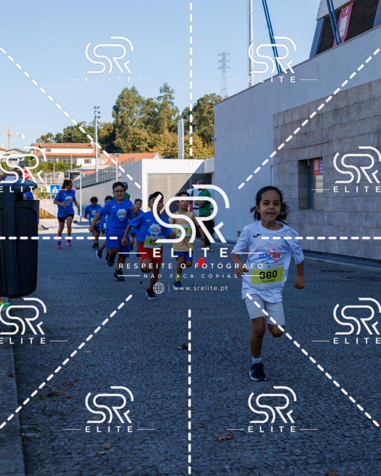 Preview com marca de água da fotografia galos-842