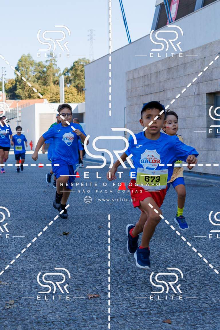 Preview com marca de água da fotografia galos-843