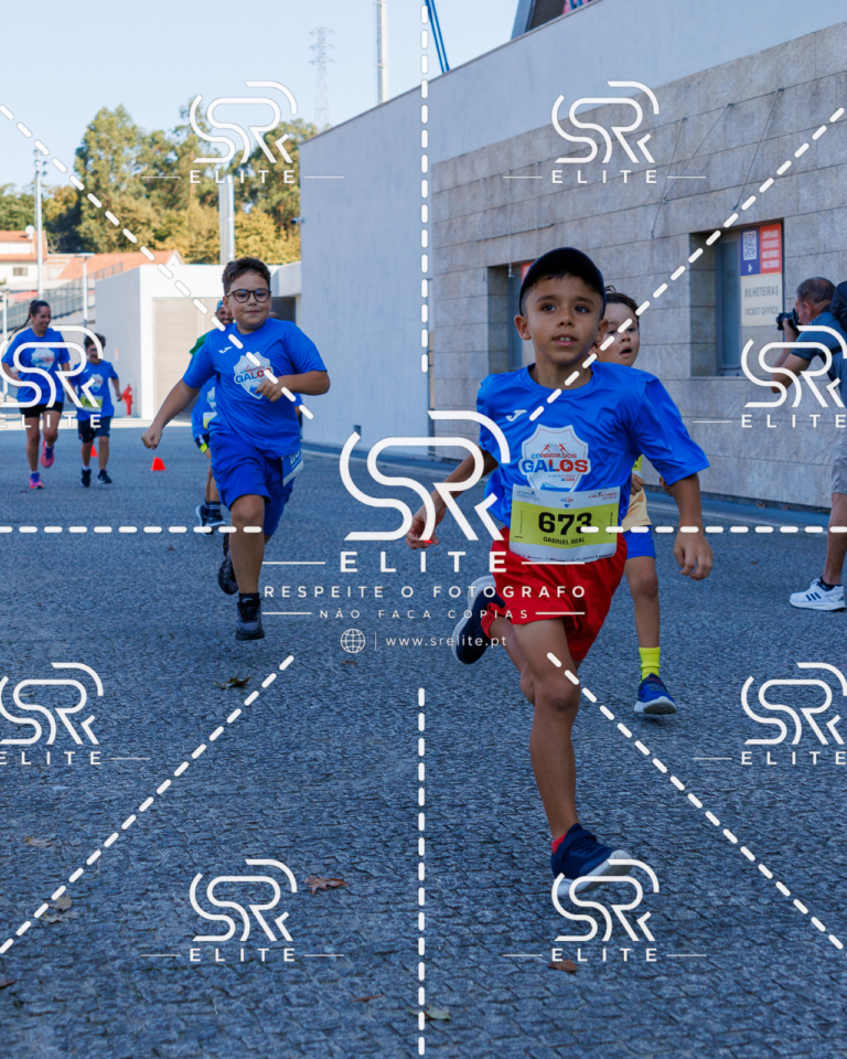 Preview com marca de água da fotografia galos-844
