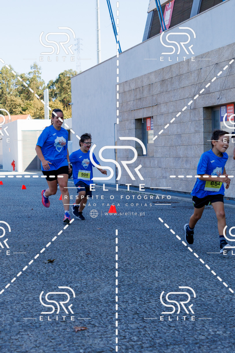 Preview com marca de água da fotografia galos-845