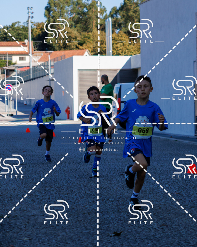 Preview com marca de água da fotografia galos-849