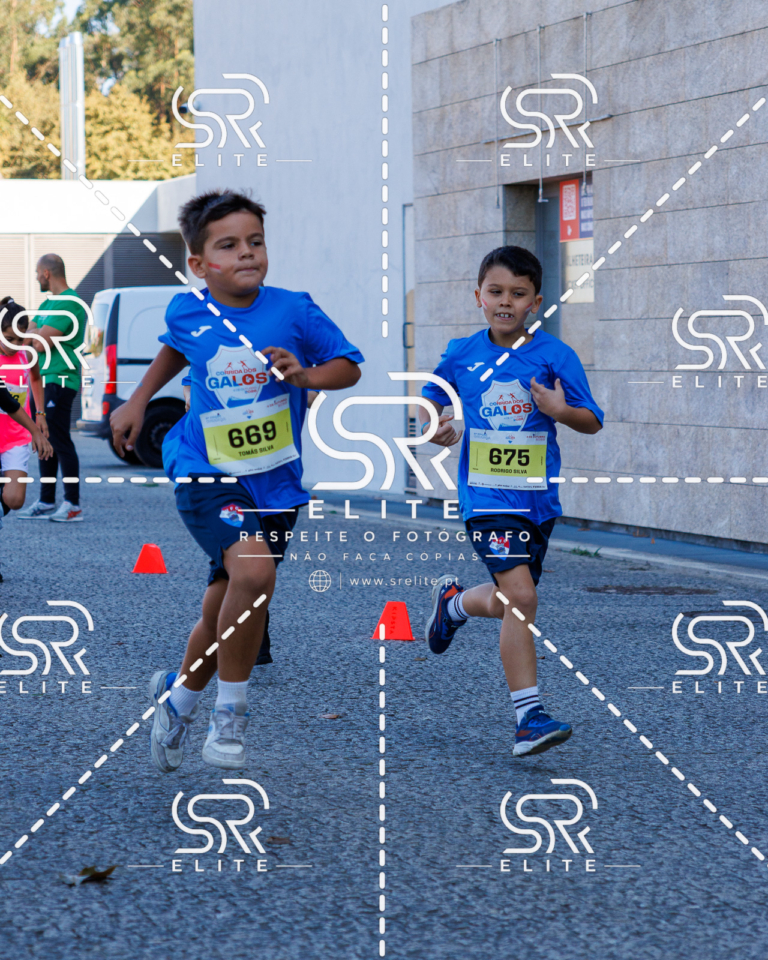 Preview com marca de água da fotografia galos-852