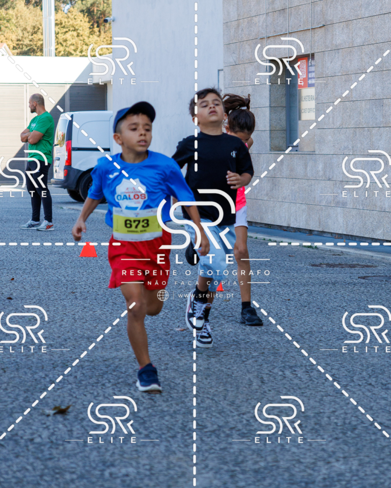 Preview com marca de água da fotografia galos-853