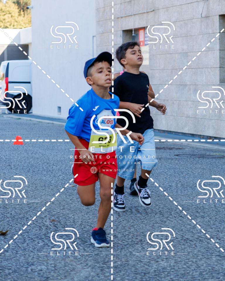 Preview com marca de água da fotografia galos-854